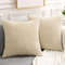 PyWvOlanly-Corduroy-Cushion-Cover-45-45-40x40-Soft-Fluffy-Strip-Pillow-Cover-Luxury-Decorative-Home-Pillowcase.jpg
