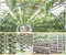 8rI550Pcs-Plant-Grow-Net-Nursery-Pots-Cup-Hydroponic-colonization-Mesh-plastic-Basket-holder-vegetable-Planter-Soilless.jpg