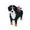 DqsCGarden-Flower-Pot-Dog-Shape-Planter-Poodle-Corgi-Yorkshire-Animal-Pots-Plastic-Flowerpot-Plant-Container-DIY.jpg