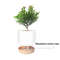 ZUcMSucculent-Plant-Pot-Double-Layer-Green-Dill-Small-Green-Plant-Flower-Pot-Garden-Planter-Flower-Pot.jpg