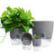 SujkSelf-Watering-Flower-Pot-Plastic-Flower-Planters-Hydroponics-Succulents-Plant-Bonsai-Water-Storage-Pot-Home-Office.jpg