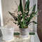 x5Kc11-14-16-19cm-Root-Control-Transparent-Flower-Pot-Phalaenopsis-Orchid-Control-Planting-Flowerpot-With-Stomata.jpg
