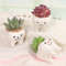Z29CCute-Tooth-Flowerpots-Ceramic-Garden-Pots-Planters-Succulent-Cactus-Vases-Decor-Home-Garden-Decorative-Tabletop-Plant.jpg