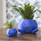 CEwyOddish-Planter-Oddish-Flower-Pot-Succulent-Flower-Pot-Plant-Pot-Planter.jpg