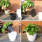 KsuiLazy-Flower-Pot-Automatic-Water-Absorbing-Flowerpot-Transparent-Plastic-Self-Watering-Planter-Plants-Nursery-Pods-Flowerpot.jpeg