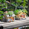 HhduVintage-Farmhouse-Planter-for-Succulents-Air-Plants-Creative-Flower-Pot-Funny-Cottage-Grange-Fairy-Garden-Home.jpg