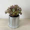 BsO6New-Glass-Square-Flower-Planter-Pots-Mirror-Flower-Basket-Flower-Pot-For-Indoor-Plants-Vase-Container.jpg