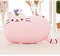 ejZw40-30cm-Kawaii-Cat-Pillow-With-Zipper-Only-Skin-Without-PP-Cotton-Biscuits-Plush-Animal-Doll.jpg