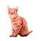 uAFF3D-Cat-Figures-Pillows-Soft-Simulation-Cat-Shape-Cushion-Sofa-Decoration-Throw-Pillows-Cartoon-Plush-Toys.jpg