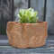 gtJ3Ceramic-Stone-Shape-Small-Plants-Pot-Succulent-Plant-Flower-Pot-Bonsai-Cactus-Home-Living-Room-Decor.jpg