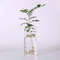p6FOClear-Glass-Hyacinth-Vase-Transparent-Flower-Plant-Bottle-Pot-DIY-Ornaments-Home-Living-Room-Garden-Decoration.jpg