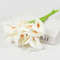 hBzx5-10Pcs-Real-Touch-Calla-Lily-Artificial-Flowers-White-Wedding-Bouquet-Bridal-Shower-Party-Home-Flower.jpg