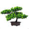 GyisFestival-Potted-Plant-Simulation-Decorative-Bonsai-Home-Office-Pine-Tree-Gift-DIY-Ornament-Lifelike-Accessory-Artificial.jpg