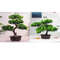 JrDQFestival-Potted-Plant-Simulation-Decorative-Bonsai-Home-Office-Pine-Tree-Gift-DIY-Ornament-Lifelike-Accessory-Artificial.jpg