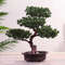 mQNgFestival-Potted-Plant-Simulation-Decorative-Bonsai-Home-Office-Pine-Tree-Gift-DIY-Ornament-Lifelike-Accessory-Artificial.jpg