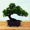 Z521Welcoming-Pine-Ornaments-Artificial-Mini-Bonsai-Green-Home-Decor-Japanese-Cedar-Tree-Juniper-Outdoor-Fake-Potted.jpg
