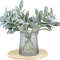 Y9BQArtificial-Plants-Flocking-Rabbit-Ear-Grass-Wedding-Christmas-Decorations-Vase-for-Home-Scrapbooking-DIY-Gifts-Box.jpg