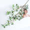 JPkV113cm-Long-Branch-Artificial-Flowers-Plants-Luxury-Ficus-Tree-Branch-Fake-Green-Plants-Room-Home-Wedding.jpg