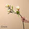 I68YMagnolia-Artificial-Flowers-Simulation-Magnolia-Fake-Flowers-DIY-Wedding-Decoration-Home-Bouquet-Faux-Flowers-Branch.jpg