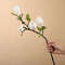 Jf0iMagnolia-Artificial-Flowers-Simulation-Magnolia-Fake-Flowers-DIY-Wedding-Decoration-Home-Bouquet-Faux-Flowers-Branch.jpg