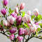 dVcbMagnolia-Artificial-Flowers-Simulation-Magnolia-Fake-Flowers-DIY-Wedding-Decoration-Home-Bouquet-Faux-Flowers-Branch.jpg