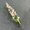 RR5QWhite-Lily-of-the-Valley-long-branch-fleurs-artificielles-for-autumn-fall-home-wedding-decoration-French.jpg