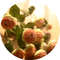 IEOiHigh-End-Ranunculus-roses-silk-Artificial-Flowers-wedding-Decoration-maraige-bridal-floral-room-decor-flores-artificiales.jpg