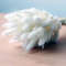 aVDo50PCS-Bunny-Rabbit-Tail-Grass-Natural-Dried-Flowers-Bouquet-Wedding-Christmas-Decoration-Lagurus-Pampas-Home-Decor.jpg