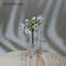 sLuYCreative-Cute-MINI-Glass-Vase-Plant-Hydroponic-Terrarium-Art-Plant-Hydroponic-Table-Vase-Glass-Crafts-DIY.jpg