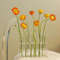xSHETest-Tube-Vases-High-Appearance-Glass-Ornaments-Fresh-Flowers-Hydroponic-Planters-Combination-Flower-Vase-Decorations.jpg