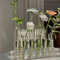 nqqBTest-Tube-Vases-High-Appearance-Glass-Ornaments-Fresh-Flowers-Hydroponic-Planters-Combination-Flower-Vase-Decorations.jpg