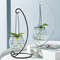 shg1Hanging-Glass-Vase-Creative-Transparent-Ornaments-Hanging-Bottle-Hydroponic-Plant-Vase-Indoor-Home-Decoration-Bottle-Fresh.jpg