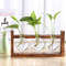 UJntWooden-Frame-Glass-Vase-Hydroponic-Plant-Vase-Vintage-Flower-Pot-Table-Desktop-Bonsai-Heart-Shape-Home.jpg