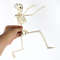 1XF4Skeleton-Halloween-Decorations-40cm-Posable-Funny-Lifelike-Plastic-Skeletons-for-Haunted-House-Graveyard-Scene-Party-Props.jpg