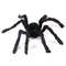 NXKrHalloween-Big-Plush-Spider-Horror-Halloween-Decoration-Party-Props-Outdoor-Giant-Spider-Decor-30-200cm-Black.jpg