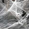 4L98Halloween-Decorations-Artificial-Spider-Web-Stretchy-Cobweb-Scary-Party-Halloween-Decoration-for-Bar-Haunted-House-Scene.jpg