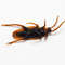 ECNMArtificial-Fake-Roaches-Novelty-Cockroach-trick-Prop-Scary-Insects-Realistic-Plastic-Bugs-Funny-Halloween-Party-Spoof.jpg