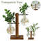 nXtKNew-Terrarium-Hydroponic-Plant-Vases-Transparent-Bulb-Vase-Wooden-Frame-Glass-Tabletop-Plant-Bonsai-Decor-Vintage.jpg