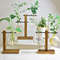 M1UdNew-Terrarium-Hydroponic-Plant-Vases-Transparent-Bulb-Vase-Wooden-Frame-Glass-Tabletop-Plant-Bonsai-Decor-Vintage.jpg