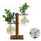 Rd61New-Terrarium-Hydroponic-Plant-Vases-Transparent-Bulb-Vase-Wooden-Frame-Glass-Tabletop-Plant-Bonsai-Decor-Vintage.jpg