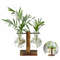 C7HSNew-Terrarium-Hydroponic-Plant-Vases-Transparent-Bulb-Vase-Wooden-Frame-Glass-Tabletop-Plant-Bonsai-Decor-Vintage.jpg