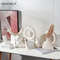 XwynNordic-Ceramic-Vase-Circular-Hollow-Donuts-Flower-Pot-Home-Living-Room-Decoration-Accessories-Interior-Office-Desktop.jpg