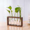 WYB5Hydroponic-Plants-Container-with-Wood-Frame-Transparent-Glass-Test-Tube-Vase-Flower-Pot-Home-Tabletop-Bonsai.jpg