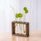 IvfSHydroponic-Plants-Container-with-Wood-Frame-Transparent-Glass-Test-Tube-Vase-Flower-Pot-Home-Tabletop-Bonsai.jpg