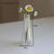 ihINCreative-Cute-MINI-Glass-Vase-Plant-Hydroponic-Terrarium-Art-Plant-Hydroponic-Table-Vase-Glass-Crafts-DIY.jpg