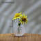 Pt4dCreative-Cute-MINI-Glass-Vase-Plant-Hydroponic-Terrarium-Art-Plant-Hydroponic-Table-Vase-Glass-Crafts-DIY.jpg