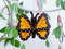 insects-bugs-baby-crib-mobile-nursery-decor-7.jpg