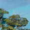 The tree in the mountains was a type of conifer that reached up high into the sky. Fragment of a close-up Original art.