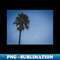 PZ-10888_California Palm Tree Under the Moon Photo V1 9445.jpg