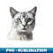 DP-26228_Discover Purr-fect Style Cat-themed Tees on TeePublic 4203.jpg